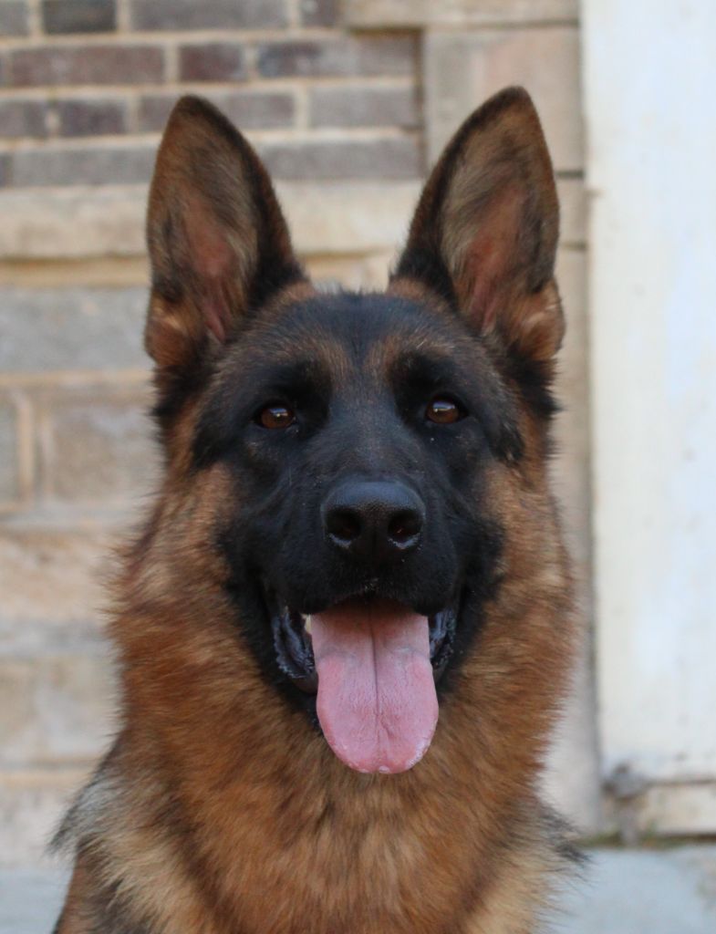 Vegas de la Saviotine