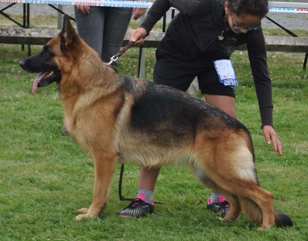 Tess de Font Martinier