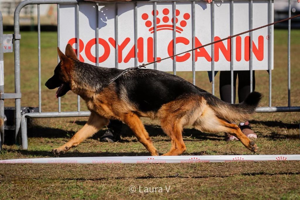 Vegas de la Saviotine